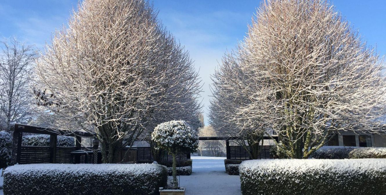 Winter | Snow | Ruapehu